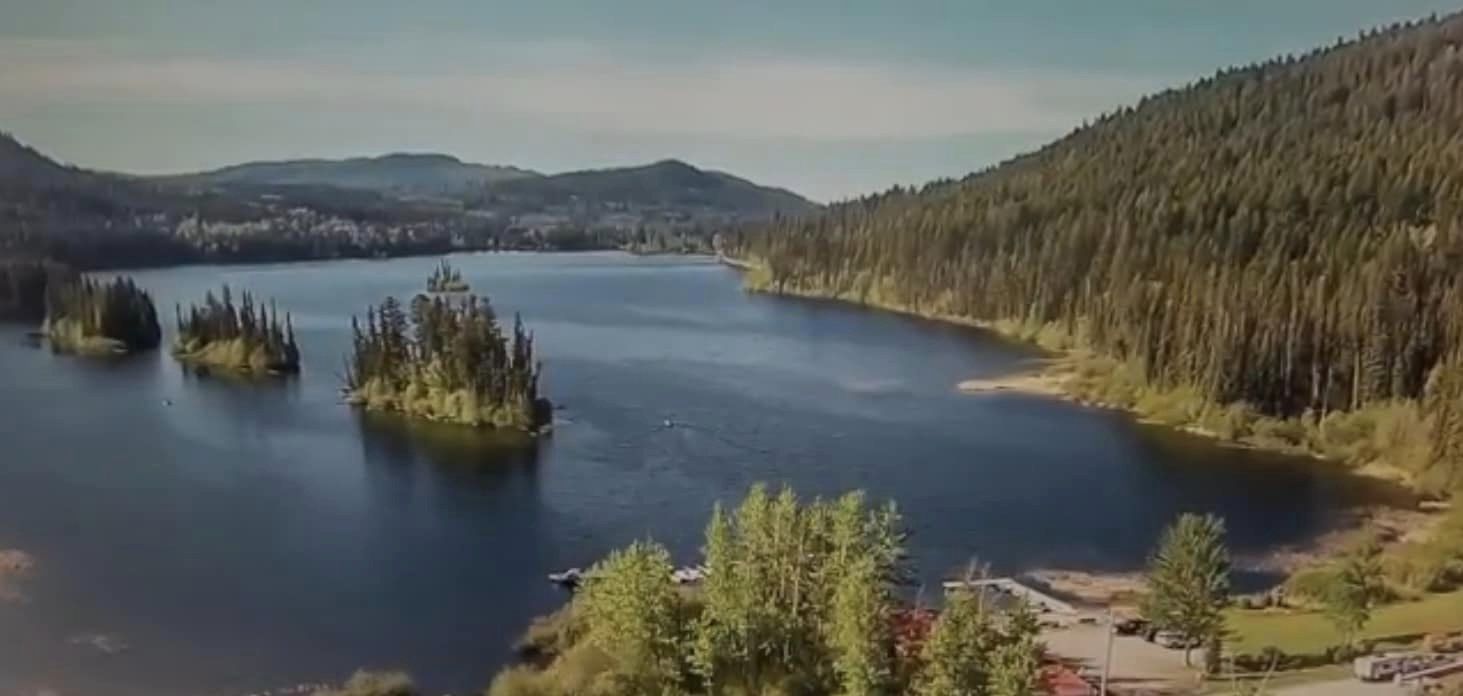 Read more about the article Ladies and Masters 2023 – sector change