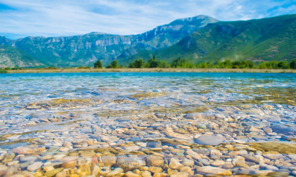 42092119_10156636604804770_2661713794517958656_n