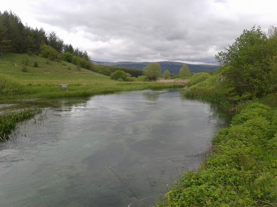 467701898_10161262698949300_5691993578456970299_n (002)