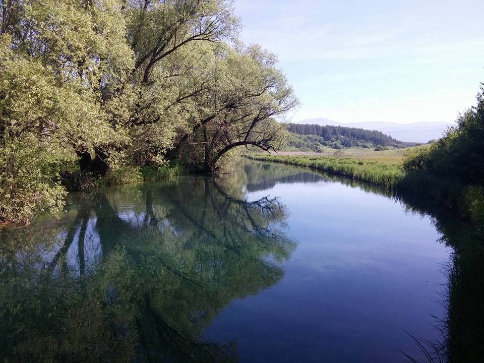 468351471_10161339881989300_631813673753052311_n (002)