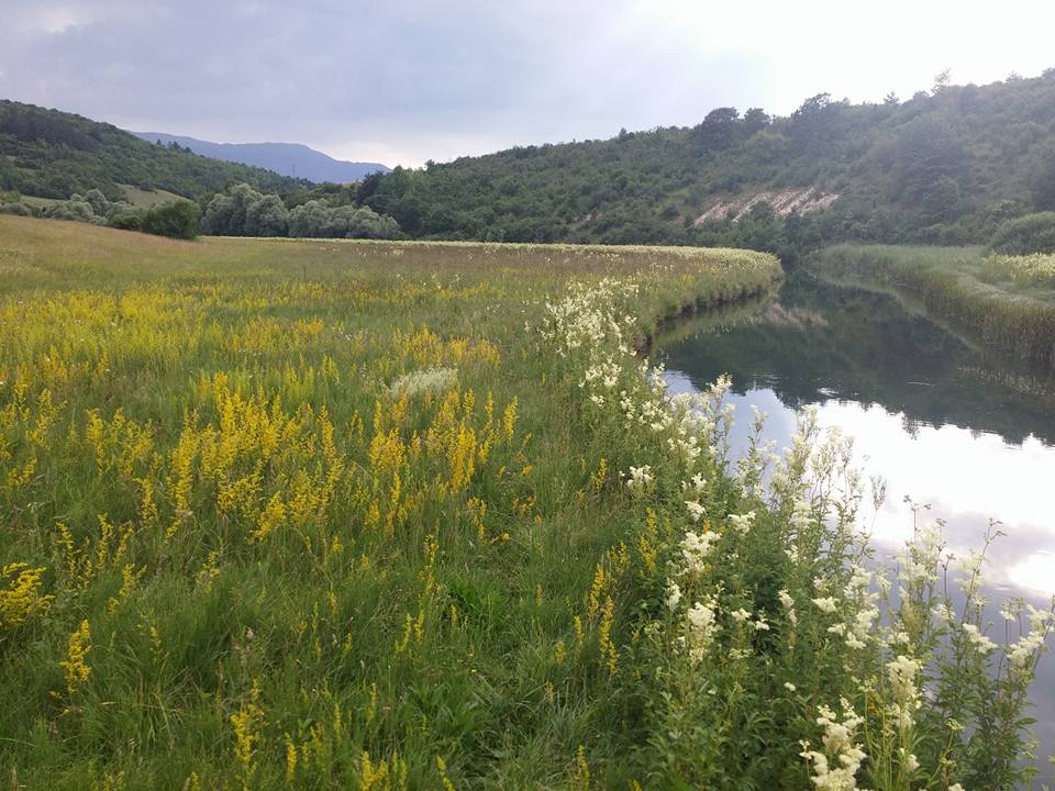 468619820_10161390730919300_4755858317902265483_n (002)