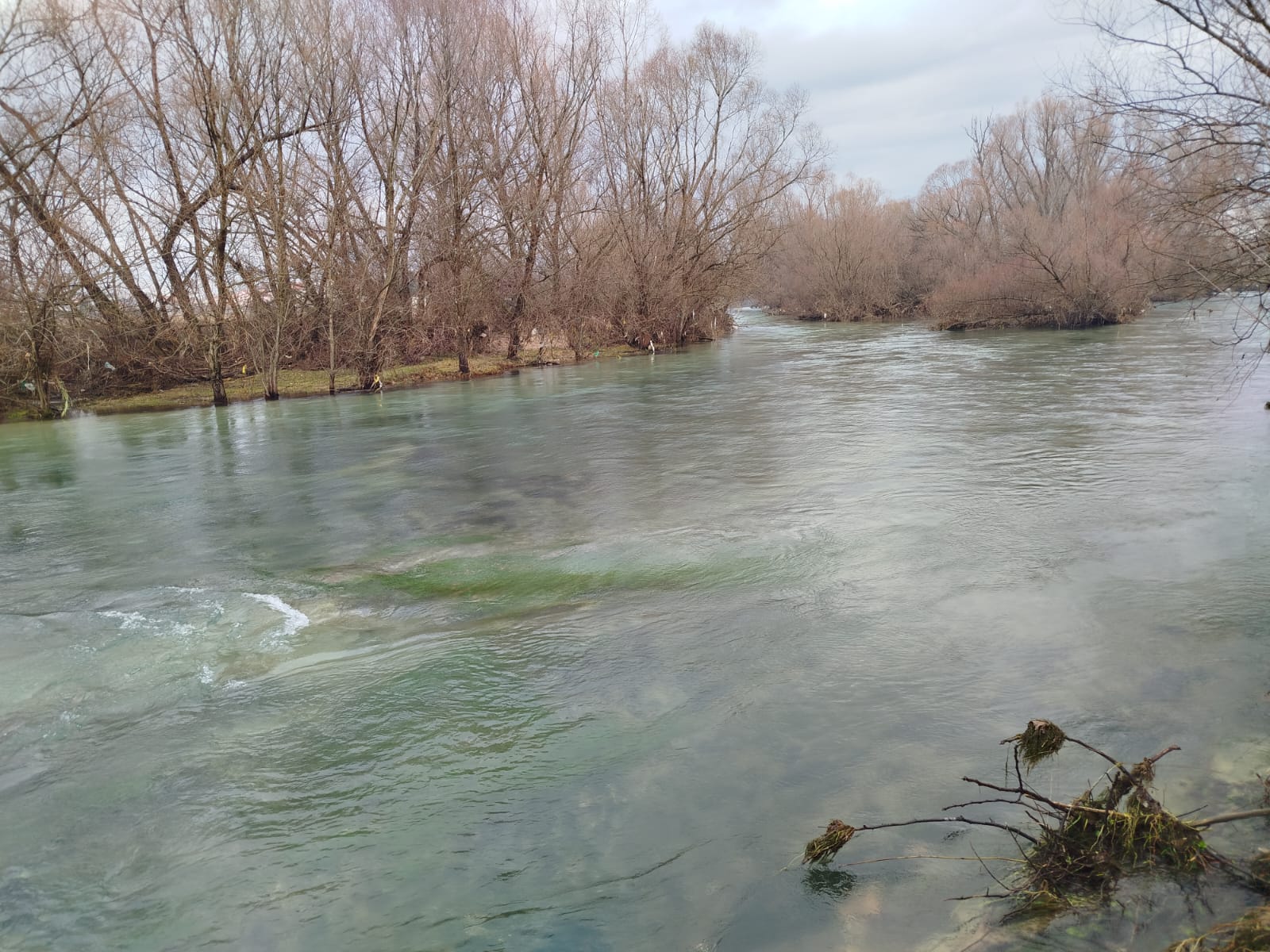 WhatsApp Image 2026-01-26 at 20.42.36