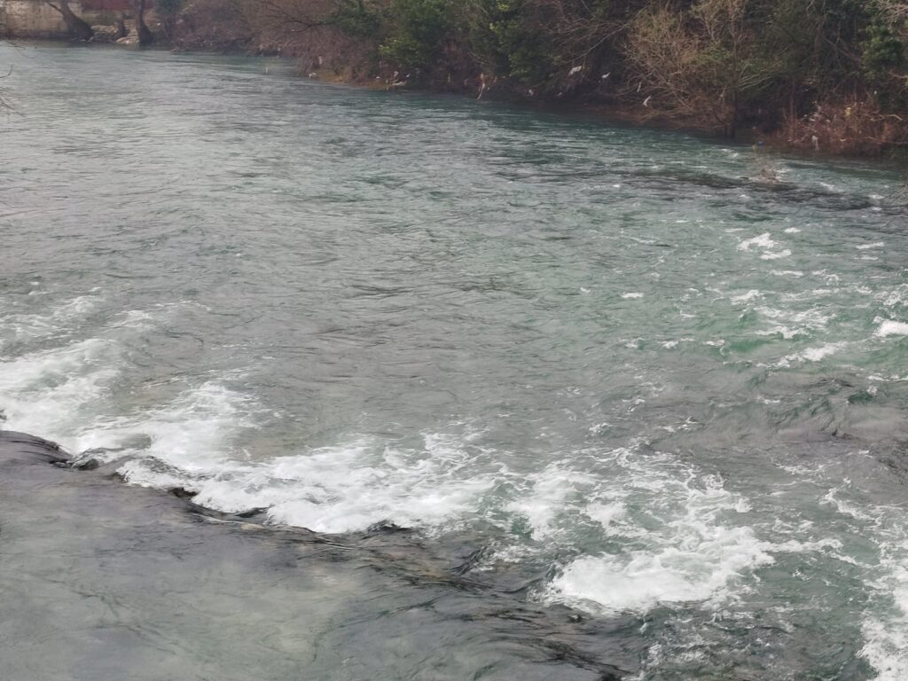 WhatsApp Image 2026-01-26 at 20.44.07