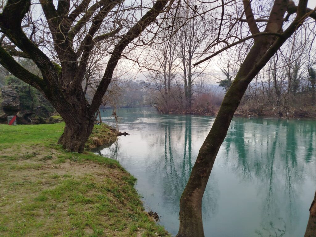 WhatsApp Image 2026-01-26 at 20.44.09