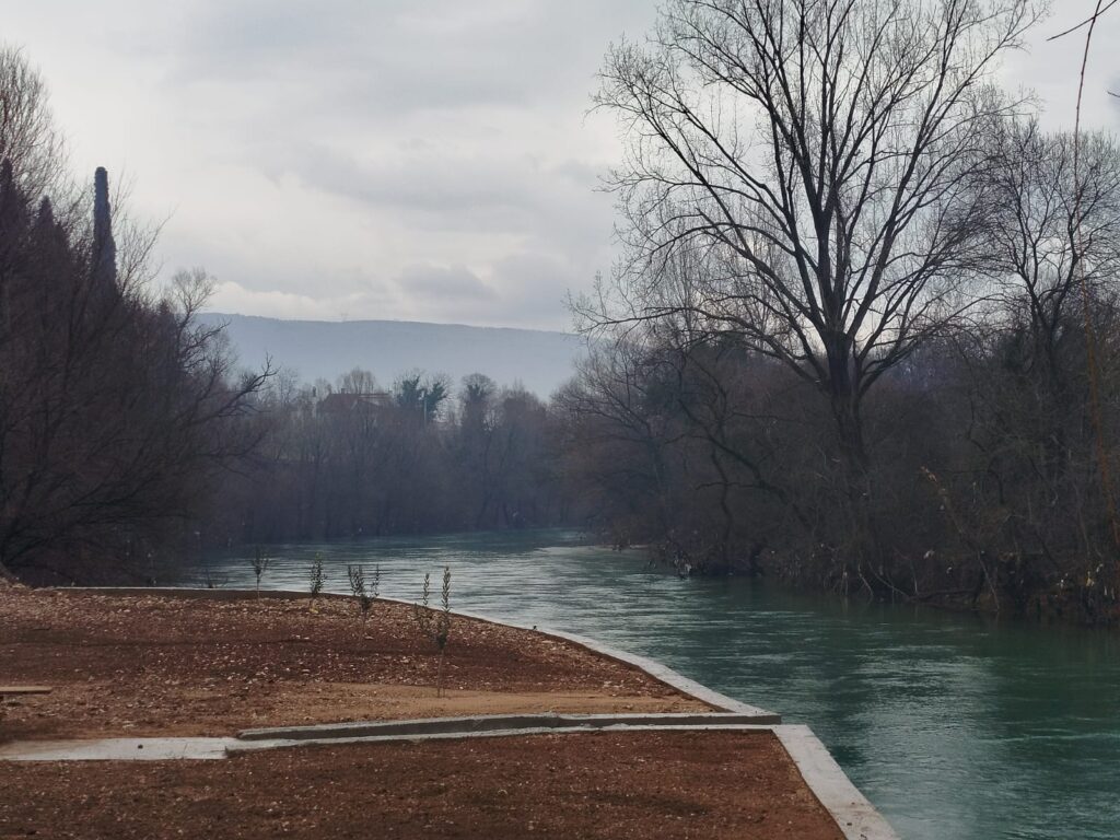 WhatsApp Image 2026-01-26 at 20.44.11